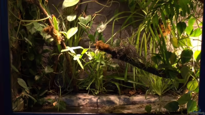 August 2012 von Miguel (5)