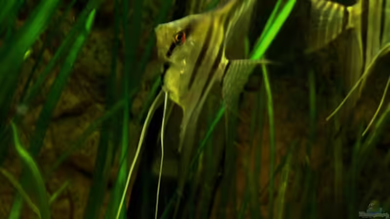 August 2012 von PH Neutral (33)