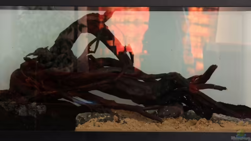 August 2013 von disco-d (6)