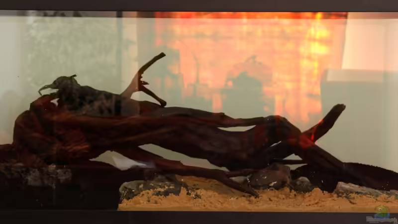 August 2013 von disco-d (7)