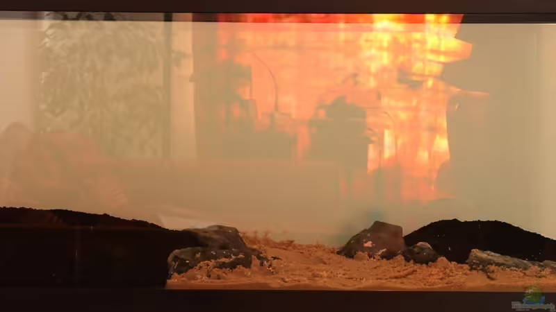 August 2013 von disco-d (8)