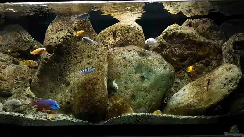 August 2019 von Mel (19)