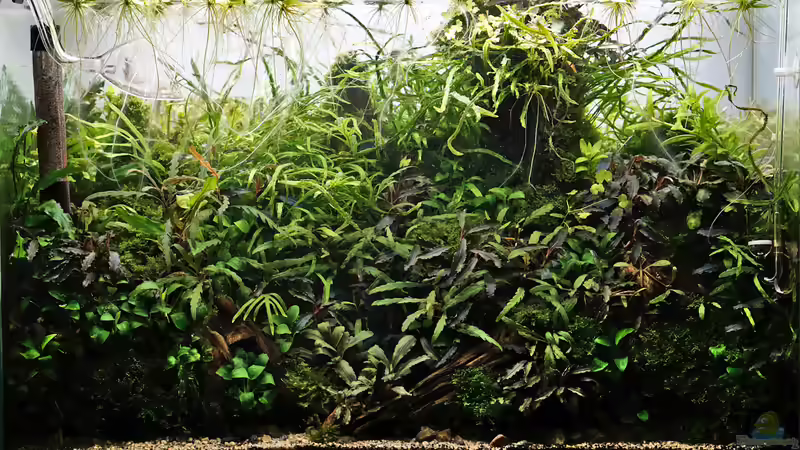 August 2019 von Micha... (20)