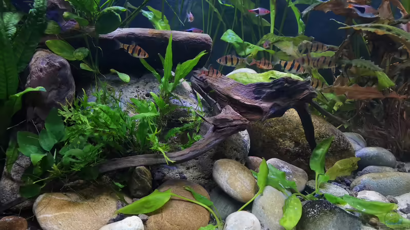 August 2020 von ~Marco~ (62)