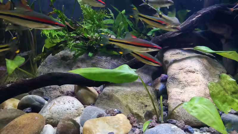 August 2020 von ~Marco~ (63)