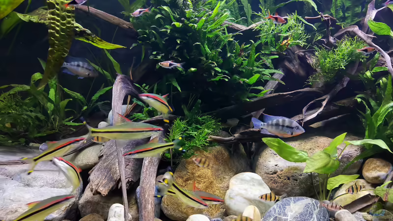 August 2020 von ~Marco~ (64)