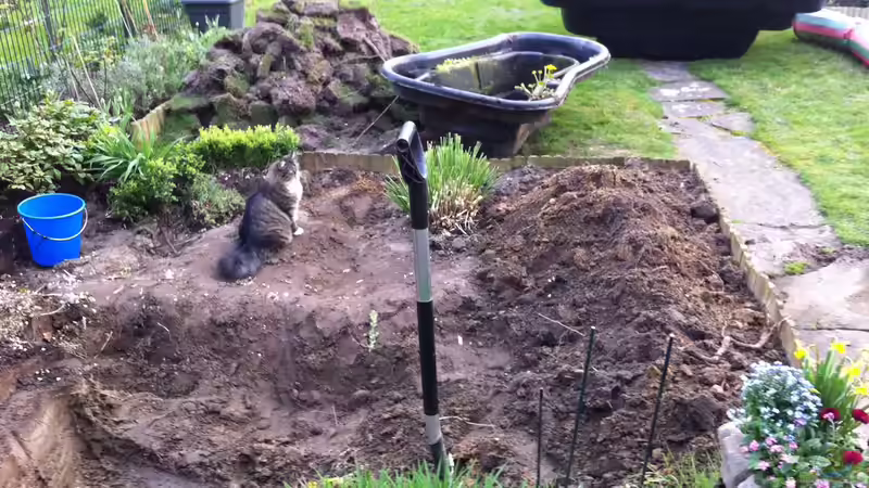 Aus Alt mach Neu von Thomas Limberg (3)