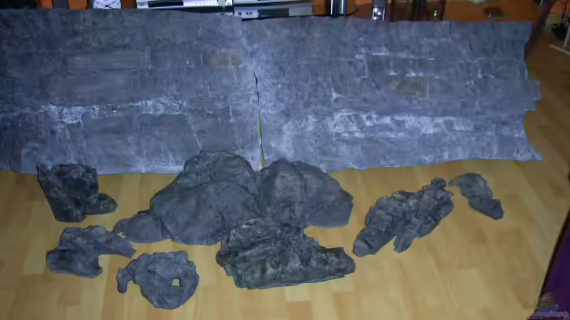 Aus anderer Sicht von Frank Hopp (46)