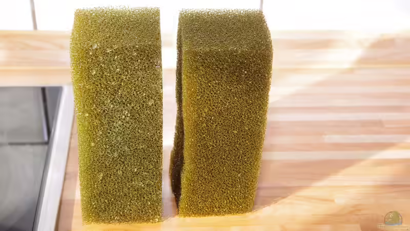 Aus Blau mach Braun 4 - fertig von Nico NK (19)