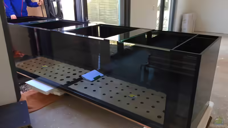 Aus dem Sprinter vorsichtig direkt durch die Terrassentür gerollt von JanH (5)