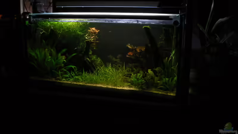 Aus der Ferne / Eßecke, 25.04.2010; von Zapfenmanderl (8)