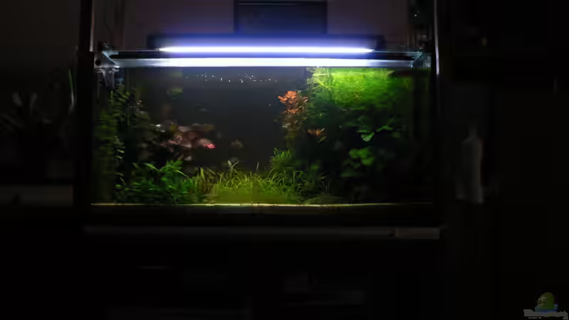 Aus der Ferne / Sofa, 25.04.2010; von Zapfenmanderl (9)