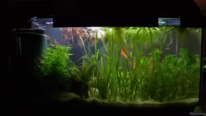 Aus der Küche aus, aktuell. von Garnelenmami (11)