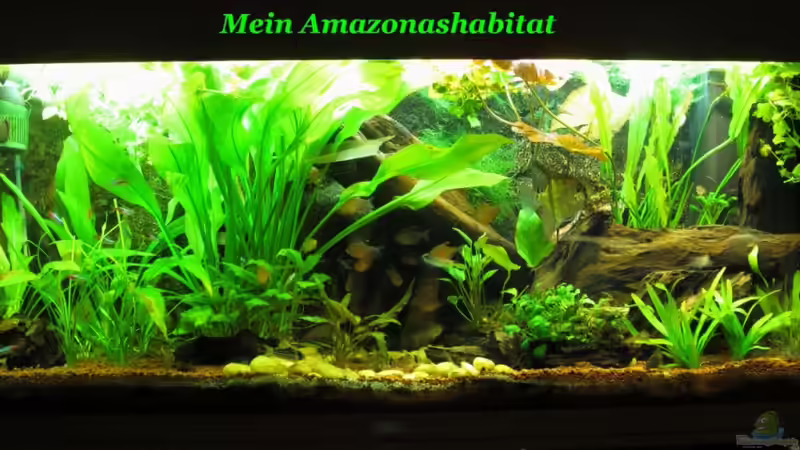 ``Aus der Oase des Glücks wird der Quell der Stille``