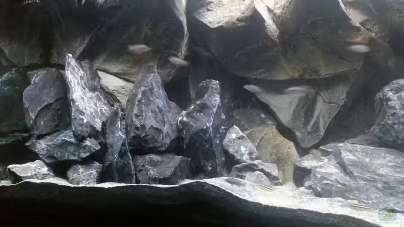 aus einer anderen Perspektive von tripledad (13)