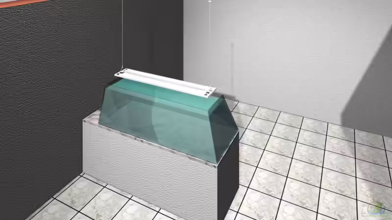 Aus einer Idee Geboren, über PC hervorgebracht von Tanga italiana (1)