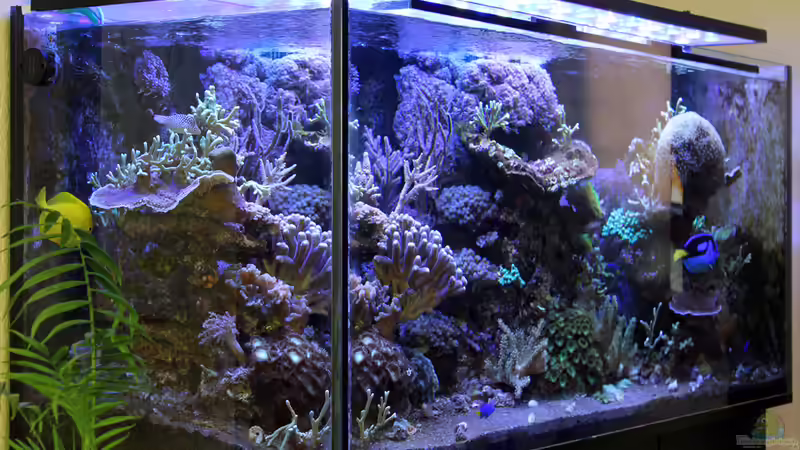 Aus Sicht des Betrachters sitzend von The_Lizardking (7)