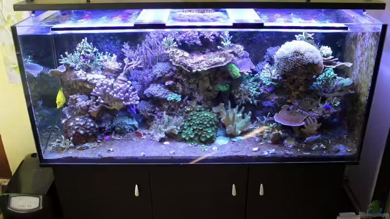 Aus Sicht des Betrachters stehend von The_Lizardking (6)