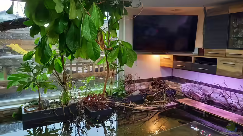 Ausblick von der Sitzecke von Daniel Mayer (1)