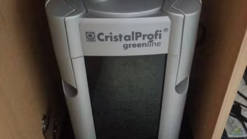 Ausenfilter von Marcel Witt (16)