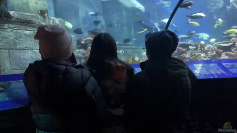 Ausflug zum Sea Life nach München Teil 1/2