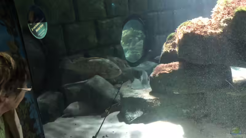 Ausflug zum Sea Life nach München Teil 1/2