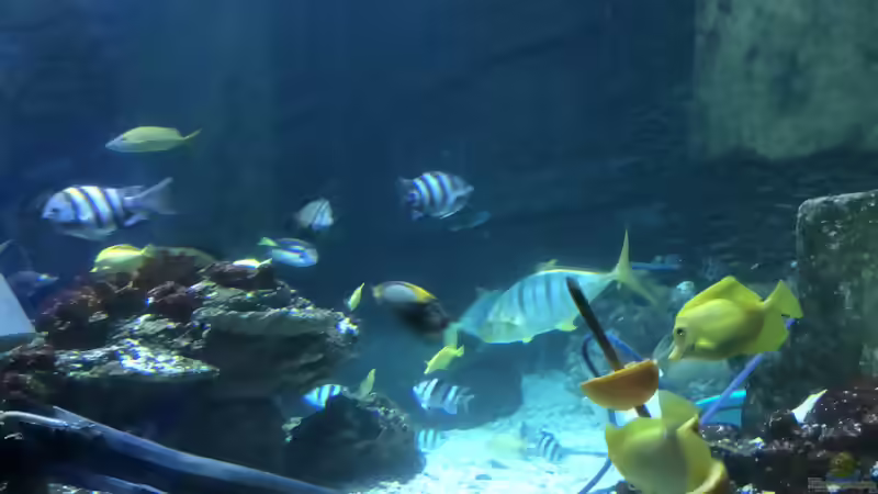 Ausflug zum Sea Life nach München Teil 2/2