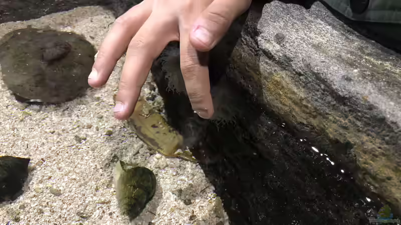 Ausflug zum Sea Life nach München Teil 2/2