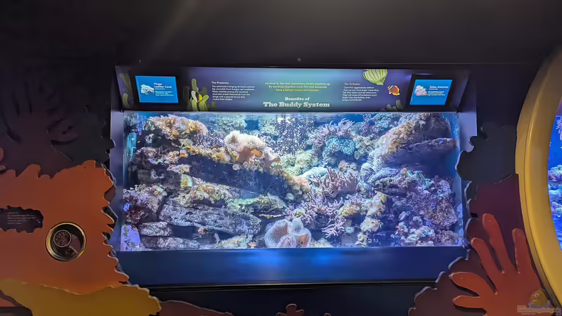 Ausflugsziel für Aquarianer: Das New York Aquarium