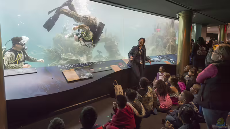 Ausflugsziel für Aquarianer: Das New York Aquarium