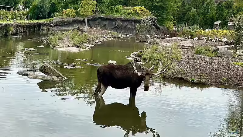 Ausflugsziel Pairi Daiza - Europas bester Zoo