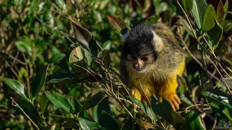 Ausflugsziel Pairi Daiza - Europas bester Zoo