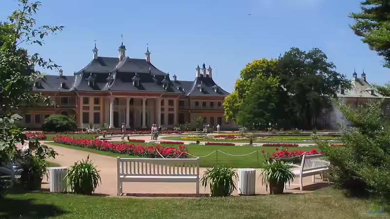 Ausflugsziel Schloss und Park Pillnitz bei Dresden - Ein Ort voller Geschichte, Natur und königlichem Flair