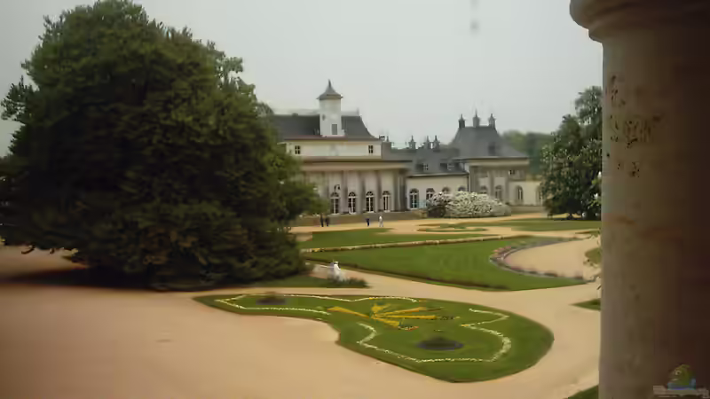 Ausflugsziel Schloss und Park Pillnitz bei Dresden - Ein Ort voller Geschichte, Natur und königlichem Flair
