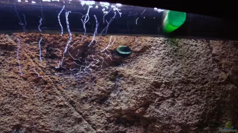 Ausführungsloch für Power-Head-Pumpe von Vladi (16)