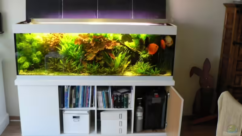 Ausgangslage von Der Nicky (19)