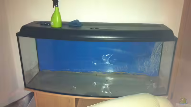 Ausgangslage von Redül (2)