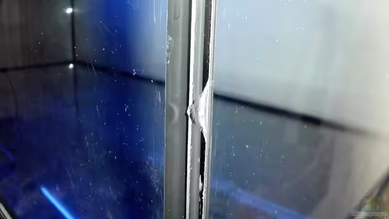 Ausgedientes Aquarium richtig entsorgen