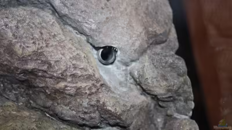 Ausgefrästes Ausströmerloch von Koehler (9)