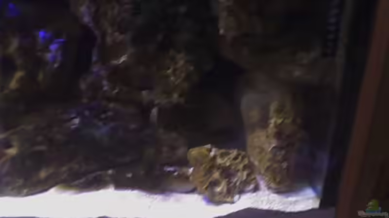 Auslass Aquatec für die Bodenströmung von FischfanAQ (13)