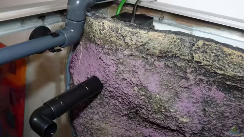 Auslaß Innenfilter u. GF-Düsenstrahlrohr Außenfilter von Guzzi-Werner (13)