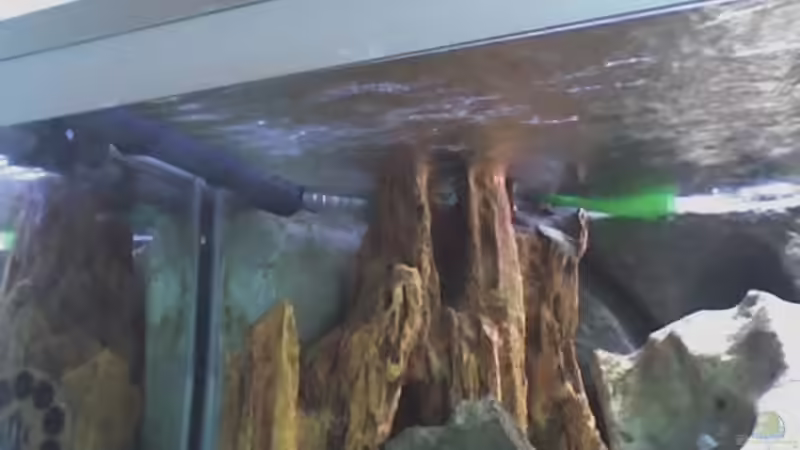 Auslass JBLCristal und Fluval und Schlitze für Oberflächenabsaugung  von FischfanAQ (15)