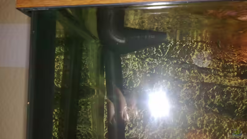 Auslaß links oben als Strömungspumpe von Robert Verhülsdonk (15)