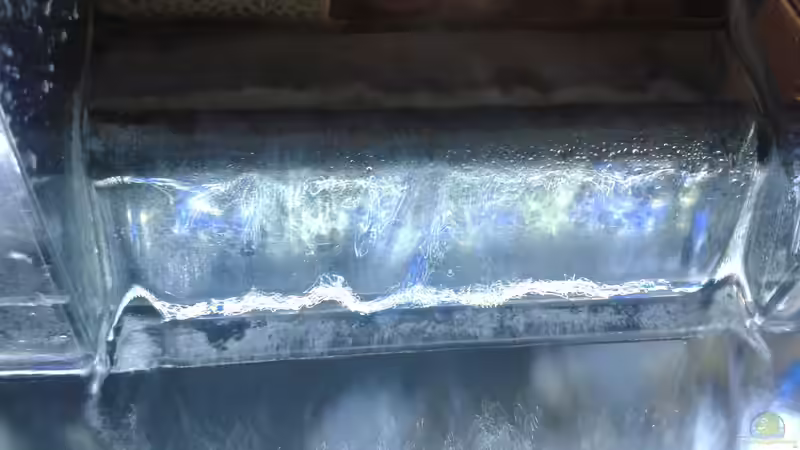 Auslauf des Aqua-Clear 70 von Torsten Bullmahn (46)