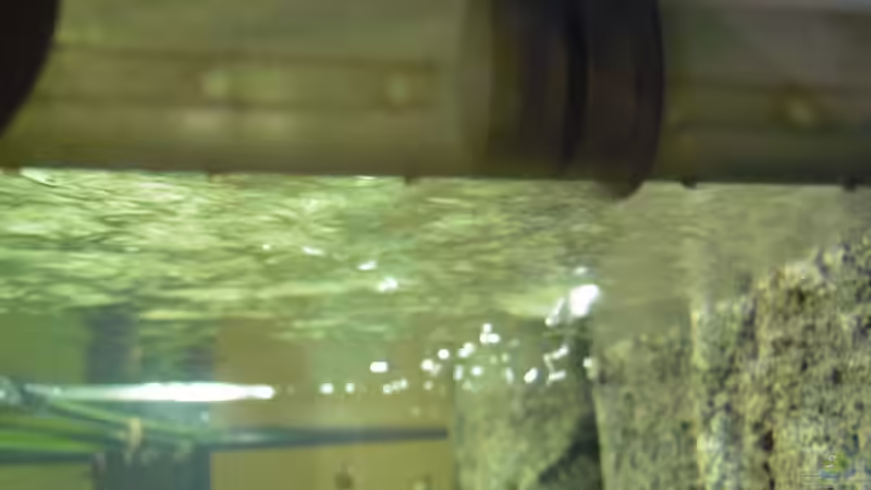 Auslauf Topffilter von Alexander Uschkoreit (13)