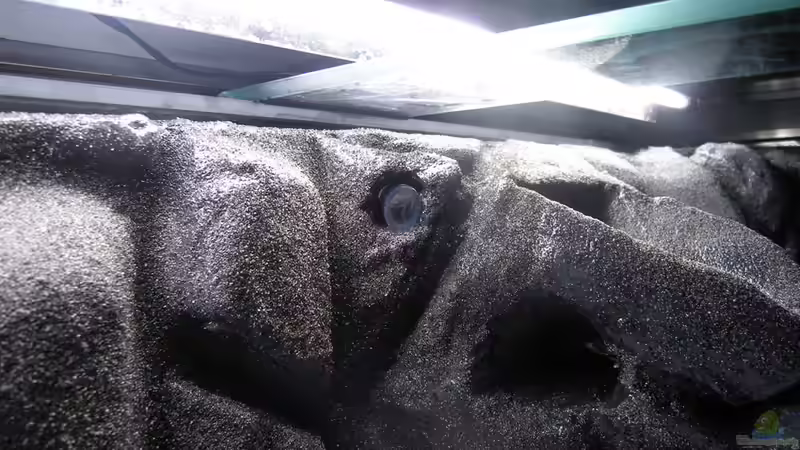 Auslauf vom Filterbecken durch Rückwand von bossie1704 (25)