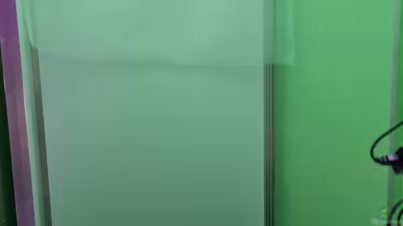 Auslegen der Teichfolie von Cichliden-Kabuff (5)