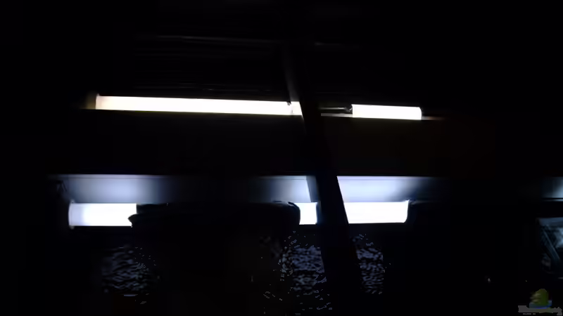 Ausleuchtung des AQ eingegrenzt (mit Alufolie,funktioniert aber gut) von Trooper (55)