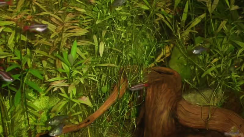 Ausschnitt 1 von qmman (2)