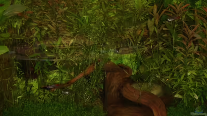 Ausschnitt 3 von qmman (4)